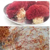 نرمه زعفران اصیل|خوردنی و آشامیدنی|رشت, چله خانه|دیوار