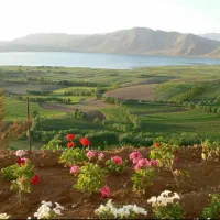 خریدار وام ازدواج