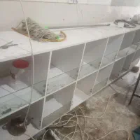 استند