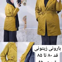 بارونی
