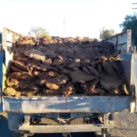 کود|خدمات باغبانی و درختکاری|بم, |دیوار