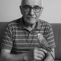 پرنده تون واگذاری می پذیزم|پرنده|پاکدشت, خاتون آباد|دیوار