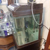 آکواریوم شرکتی ماهیران شیشه خم پمپ بخاری تصفیه|ماهی|گلستان (تهران), |دیوار