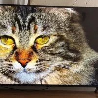 ال ای دی 50 اینچ STAR TRAC آندروید 14 آکبند|تلویزیون و پروژکتور|اهواز, پردیس دو|دیوار