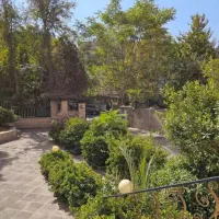 گاندی ۸۰ متر  بهترین فرعی