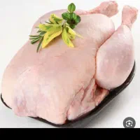 کالابرگ کالا برگ الکترونیک