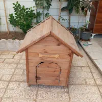 خانه سگ و قلاده و پارک سگ