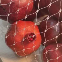 انار خشک شده برای تزیین میز آرایی شب یلدا