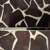 14promax باریجستر ۱۴ پرومکس باریجستر۲۵۶|موبایل|تهران, پرستار|دیوار