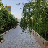 اجاره روزانه  ویلایی مبله سوییت|اجارهٔ کوتاه‌مدت آپارتمان و سوئیت|شیراز, دوکوهک|دیوار