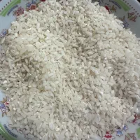 برنج نیم دانه هاشمی