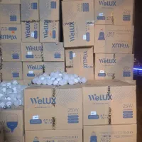 لامپ 25 وات بزرگ و پرنور استاندارد ایرانی|لامپ و چراغ|تبریز, |دیوار