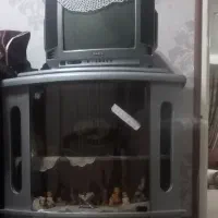 تلویزیون پارس