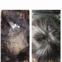 ترمیم. ریختگی موی پروتز و پارگی پوستیژ|خدمات آرایشگری و زیبایی|تبریز, |دیوار