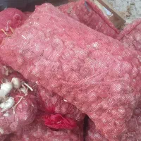 سیر بزری درجی یک به شرت برای خودمه زیاد اوردم