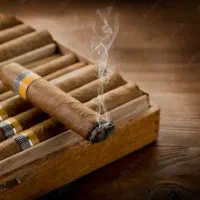 بازیابی و ویزیتوری دخانیات