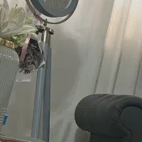 ساعت ایستاده