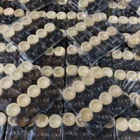 مهره تخته نرد چوبی