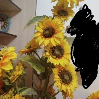 گل آفتابگردون و گل ارکیده|گل مصنوعی|رشت, کوی عرفان|دیوار