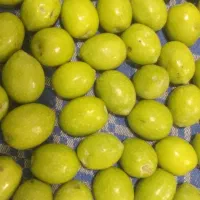 زیتون کنسروی درجه یک درشت فاضل آباد آزادشهر|خوردنی و آشامیدنی|آزادشهر, |دیوار