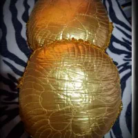 جلیقه شنا|غواصی و ورزش‌های آبی|همدان, |دیوار