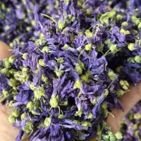 نیروی خانم درمغازه عطاری