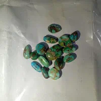فیروزه نیشابوری کد 001