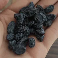 مویز ،برگ زردآلو ، کشمش ، خرما