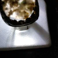 انگشتر نقره دست ساز کلکسیونی طلا پاش|جواهرات|شیراز, شاپورجان|دیوار