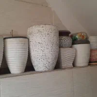 گلدان|گل و گیاه طبیعی|تهران, فلاح|دیوار