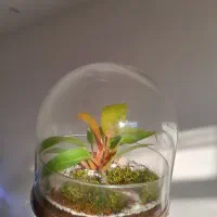 ساخت تراریوم