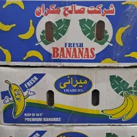 تعدادی کارتن موزی