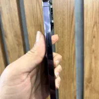 ایفون ۱۴ پرو|موبایل|رشت, چله خانه|دیوار