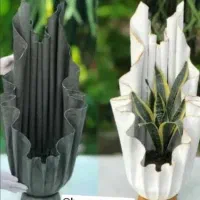 گلدان|گل و گیاه طبیعی|شیراز, جرسقان|دیوار