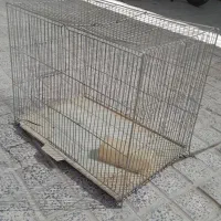 سه عددسری لامپ و یک عدد قفس|عمدهفروشی|شهرکرد, |دیوار