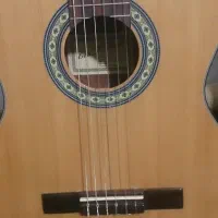 گیتار bestfun e150 با هاردکیس چرم