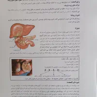 کتاب جزوه زیست شناسی رنگی ۱۴۰۴ حنیف عظیمی تاملند|کتاب و مجله آموزشی|تهران, فلسطین (میدان انقلاب)|دیوار