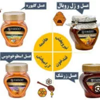 عسل های درمانی،تخصصی وازمایشگاهی ۵۰۰ گرمی|خوردنی و آشامیدنی|تهران, مخصوص|دیوار