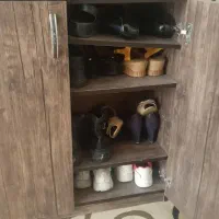 جاکفشی ودلاور