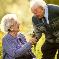 نیروی سالمند