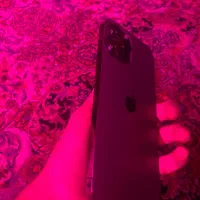 ۱۲ پرومکس