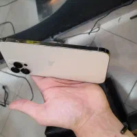 اپل iPhone 12 Pro Max پک اصلی|موبایل|مشهد, هنرور|دیوار
