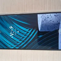 a31