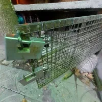 قفس پرنده|لوازم جانبی حیوانات|ایلام, |دیوار