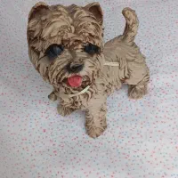 دوعدد مجسمه دکوری بسیار زیبا|مجسمه، تندیس، ماکت|رشت, منظریه|دیوار