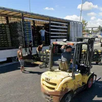 کارترکیه میدان میوه و تره بار استانبول