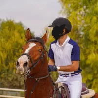 اسب اصیل مسابقه