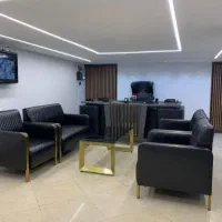 جذب نیروی فعال