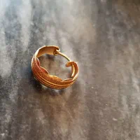 گوشواره گم کردم