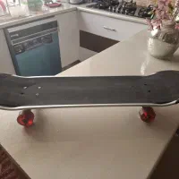 اسکیت برد بزرگسالان سالم و حرفه ای